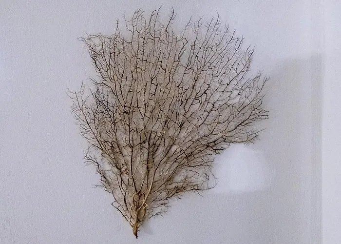 Вилла Sagma Перисса